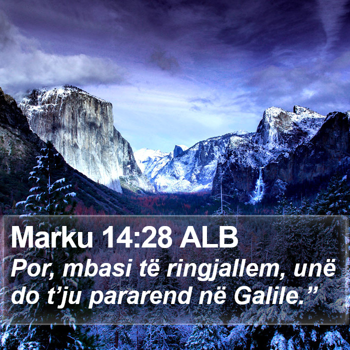 Marku 14:28 ALB Bible Study