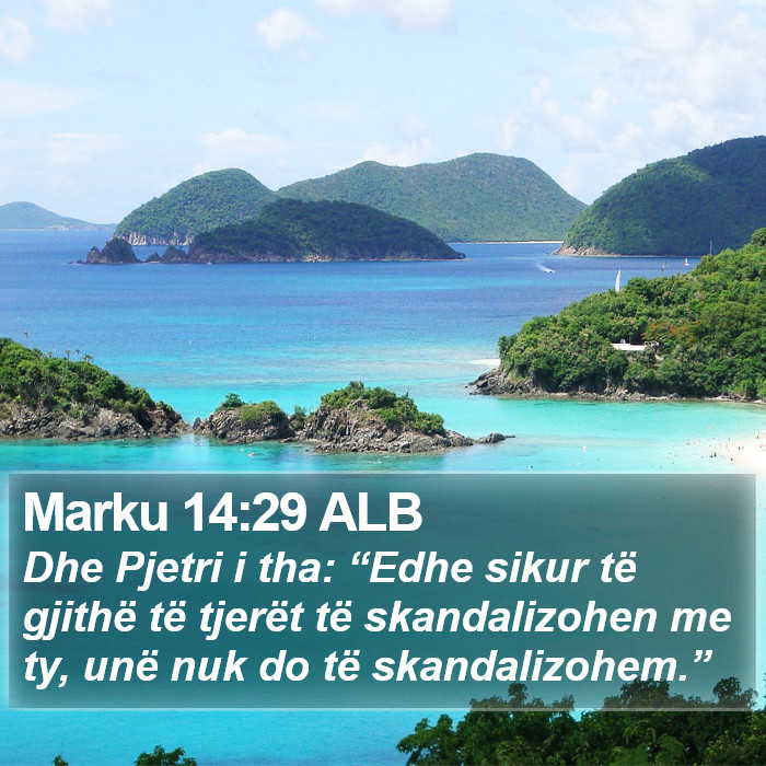 Marku 14:29 ALB Bible Study