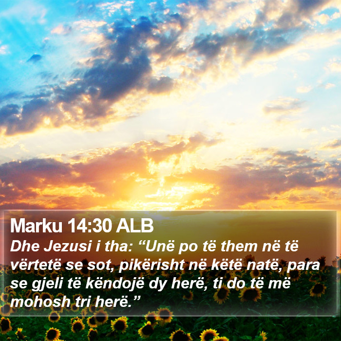 Marku 14:30 ALB Bible Study