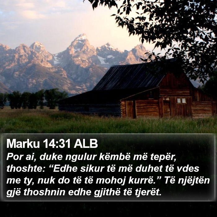 Marku 14:31 ALB Bible Study