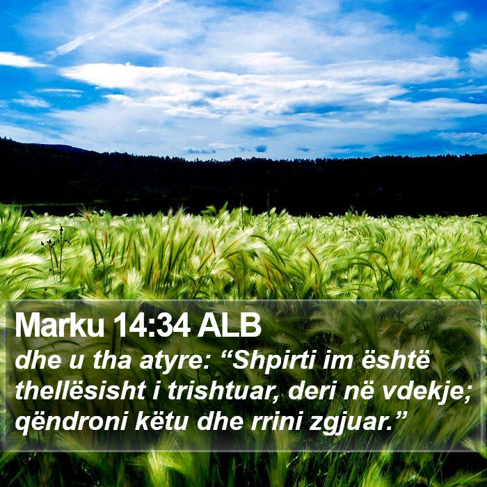 Marku 14:34 ALB Bible Study