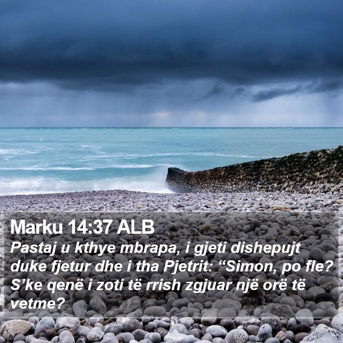 Marku 14:37 ALB Bible Study