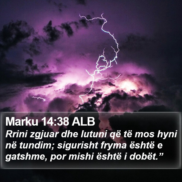 Marku 14:38 ALB Bible Study