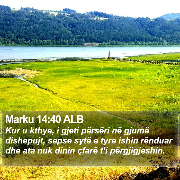 Marku 14:40 ALB Bible Study
