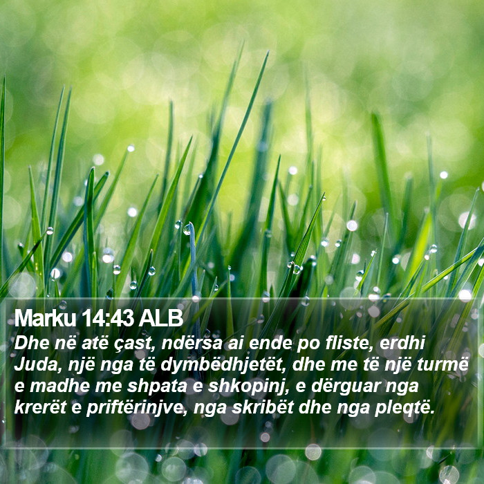 Marku 14:43 ALB Bible Study