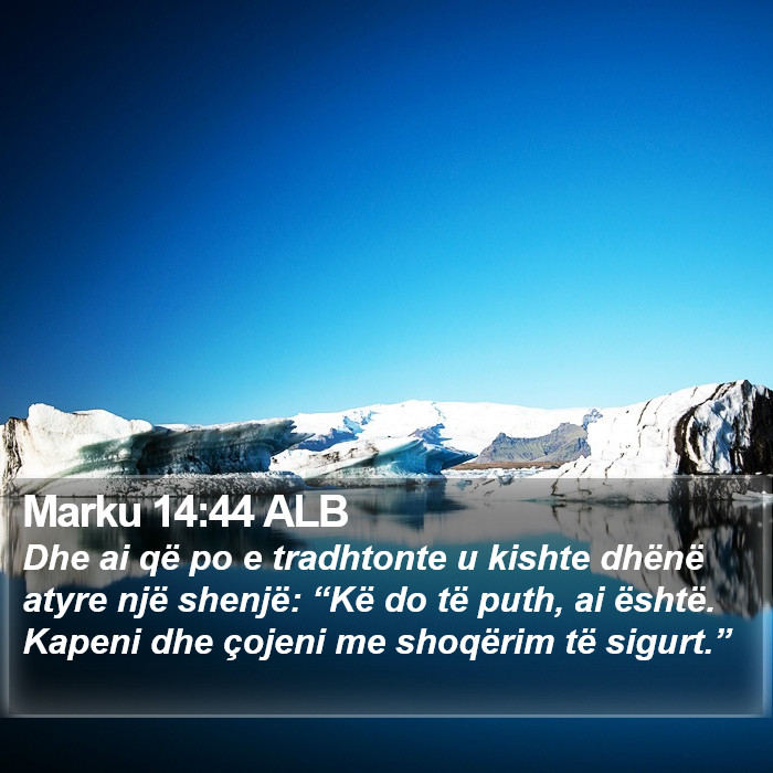 Marku 14:44 ALB Bible Study