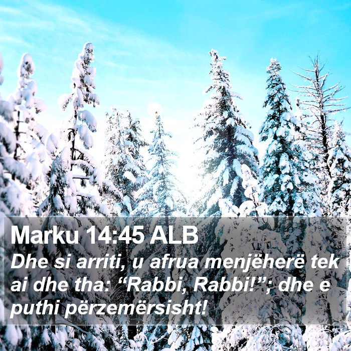 Marku 14:45 ALB Bible Study