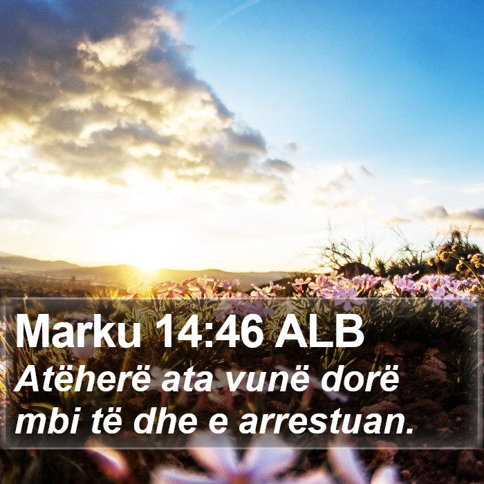 Marku 14:46 ALB Bible Study
