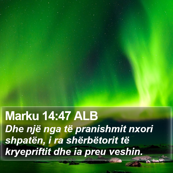 Marku 14:47 ALB Bible Study