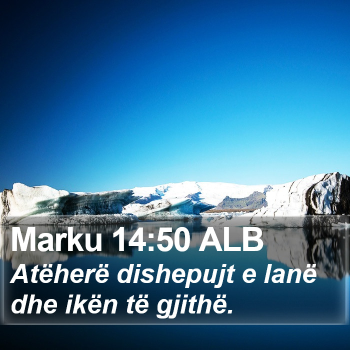 Marku 14:50 ALB Bible Study