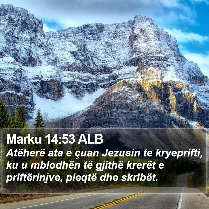 Marku 14:53 ALB Bible Study
