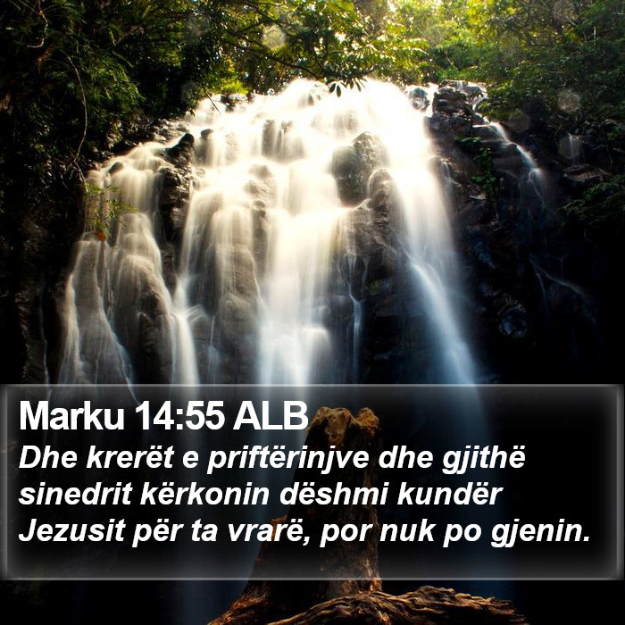 Marku 14:55 ALB Bible Study