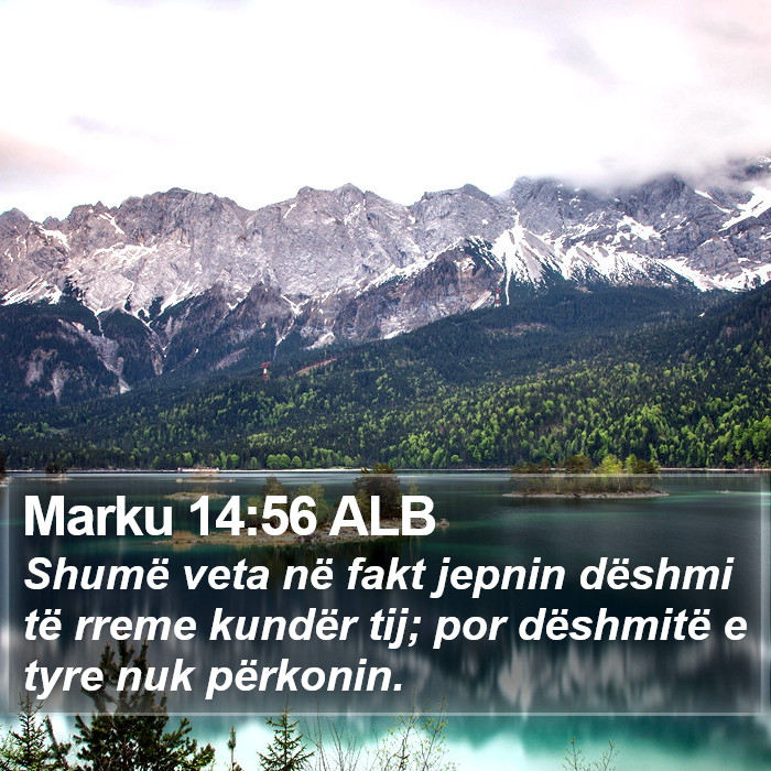 Marku 14:56 ALB Bible Study