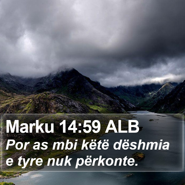 Marku 14:59 ALB Bible Study
