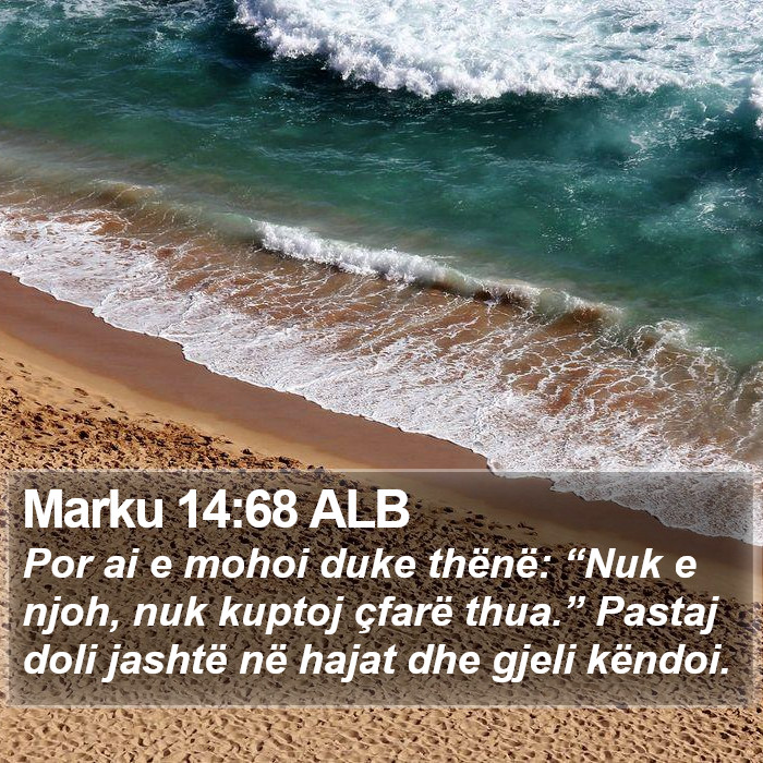 Marku 14:68 ALB Bible Study
