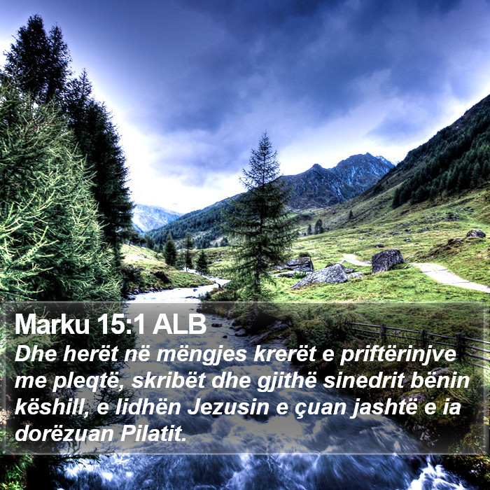 Marku 15:1 ALB Bible Study