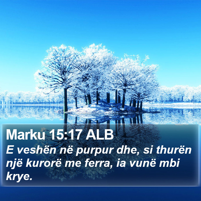 Marku 15:17 ALB Bible Study