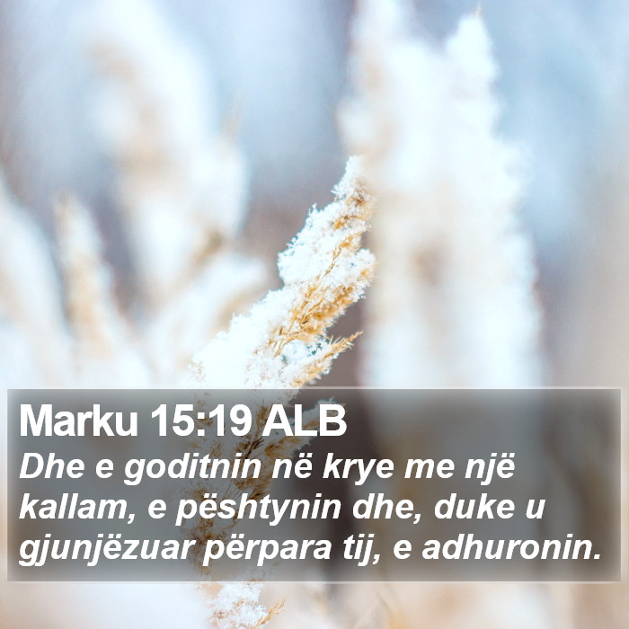 Marku 15:19 ALB Bible Study