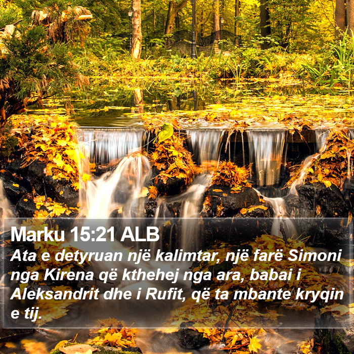 Marku 15:21 ALB Bible Study
