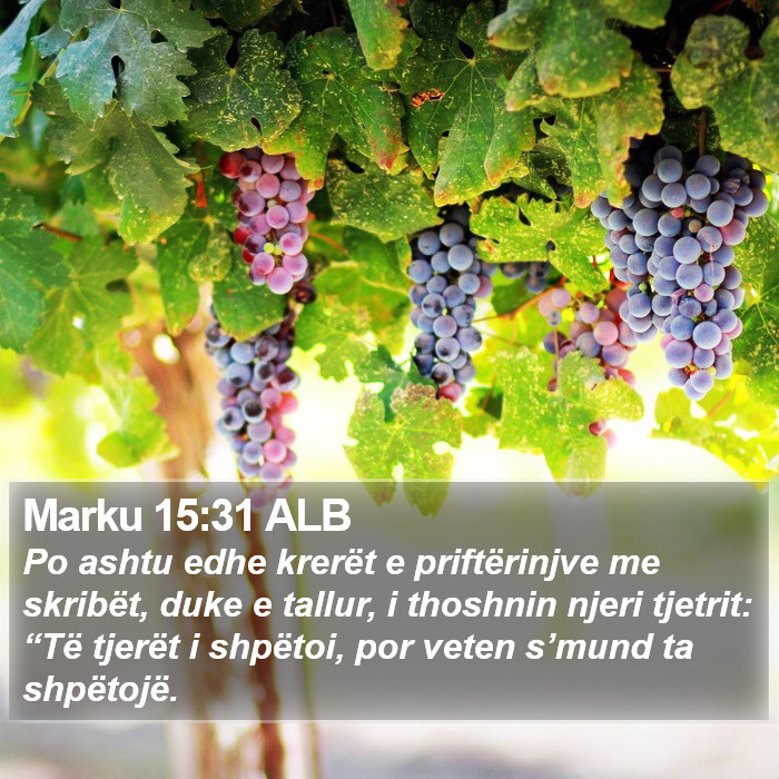 Marku 15:31 ALB Bible Study
