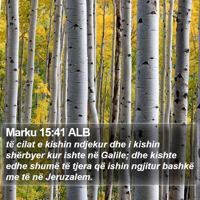Marku 15:41 ALB Bible Study