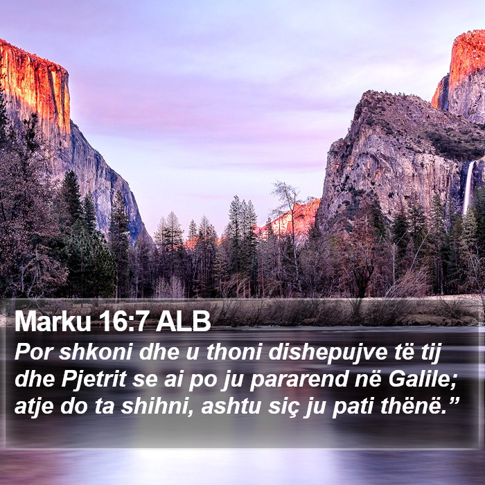Marku 16:7 ALB Bible Study