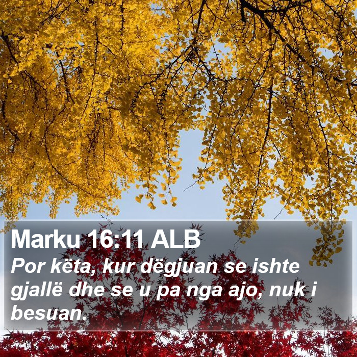 Marku 16:11 ALB Bible Study