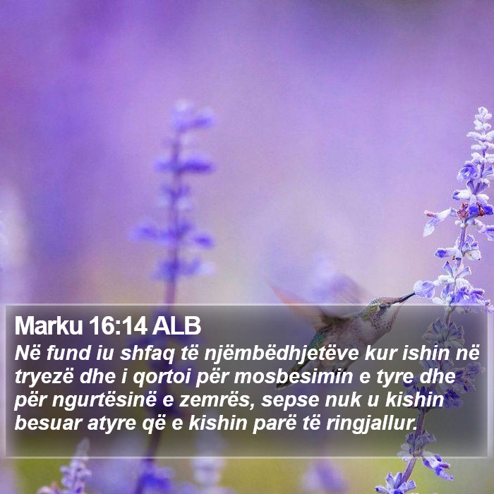 Marku 16:14 ALB Bible Study