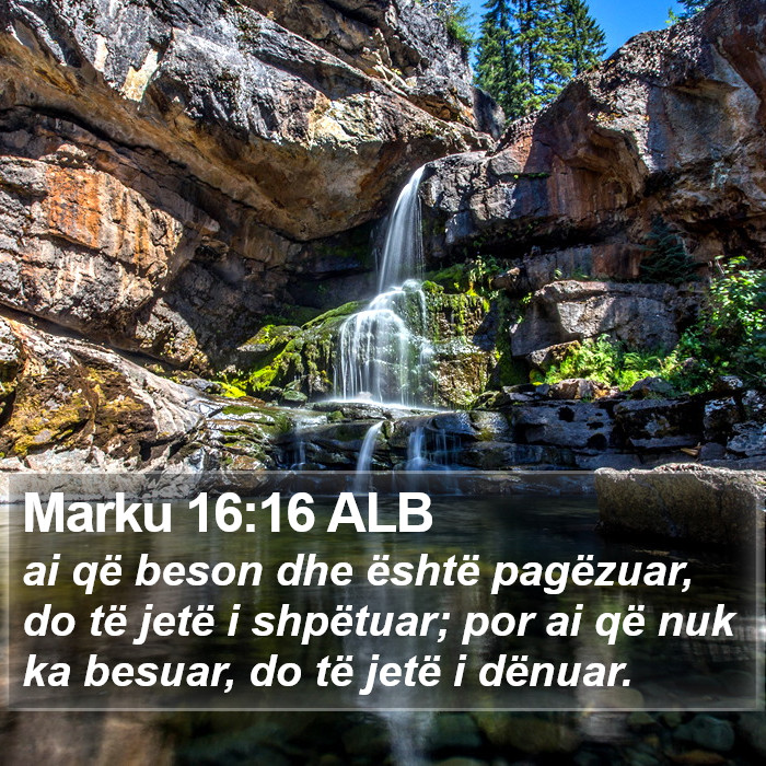 Marku 16:16 ALB Bible Study
