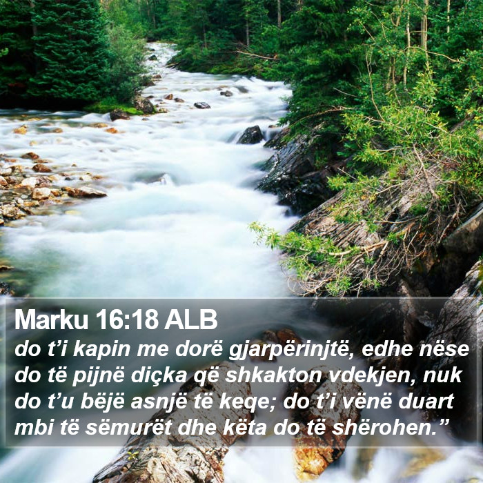 Marku 16:18 ALB Bible Study