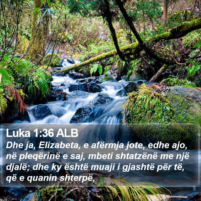 Luka 1:36 ALB Bible Study