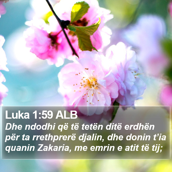 Luka 1:59 ALB Bible Study