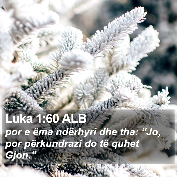 Luka 1:60 ALB Bible Study