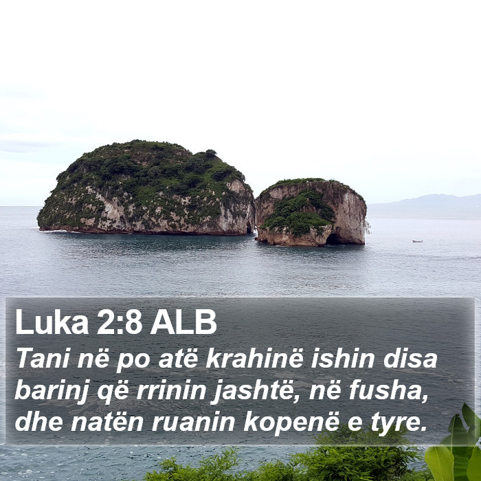 Luka 2:8 ALB Bible Study