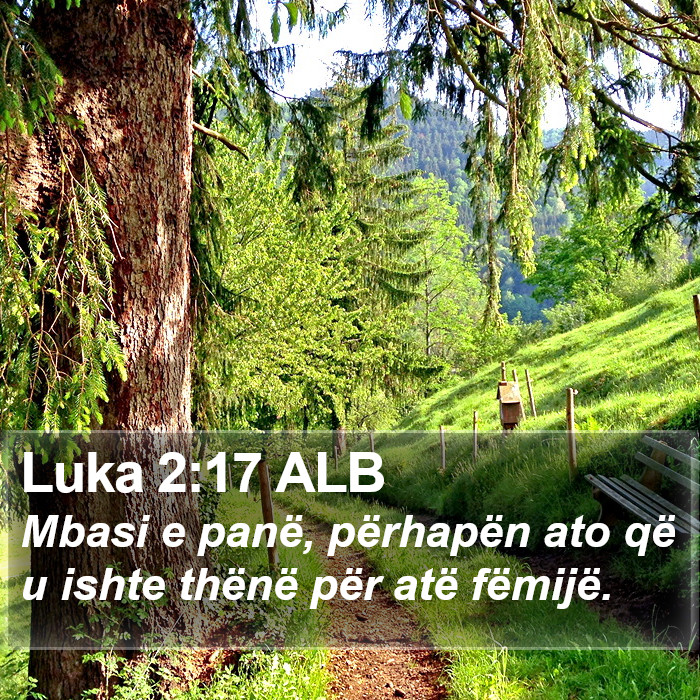Luka 2:17 ALB Bible Study
