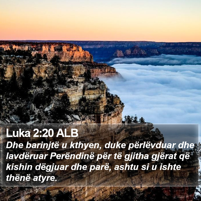 Luka 2:20 ALB Bible Study