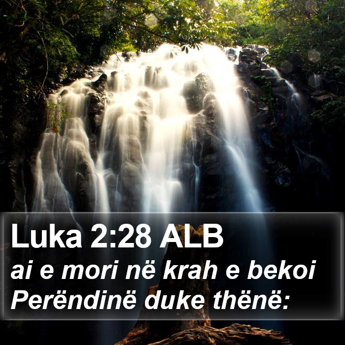 Luka 2:28 ALB Bible Study