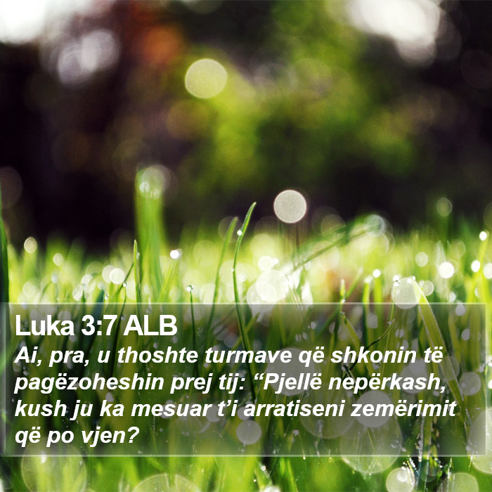 Luka 3:7 ALB Bible Study