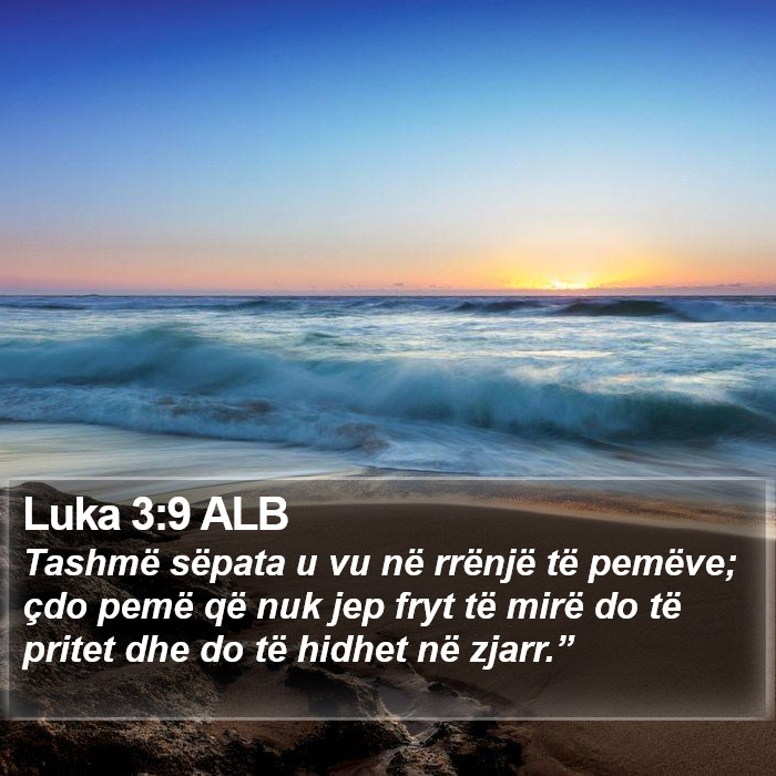 Luka 3:9 ALB Bible Study