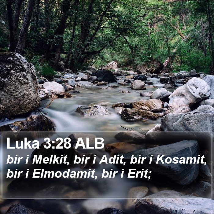 Luka 3:28 ALB Bible Study