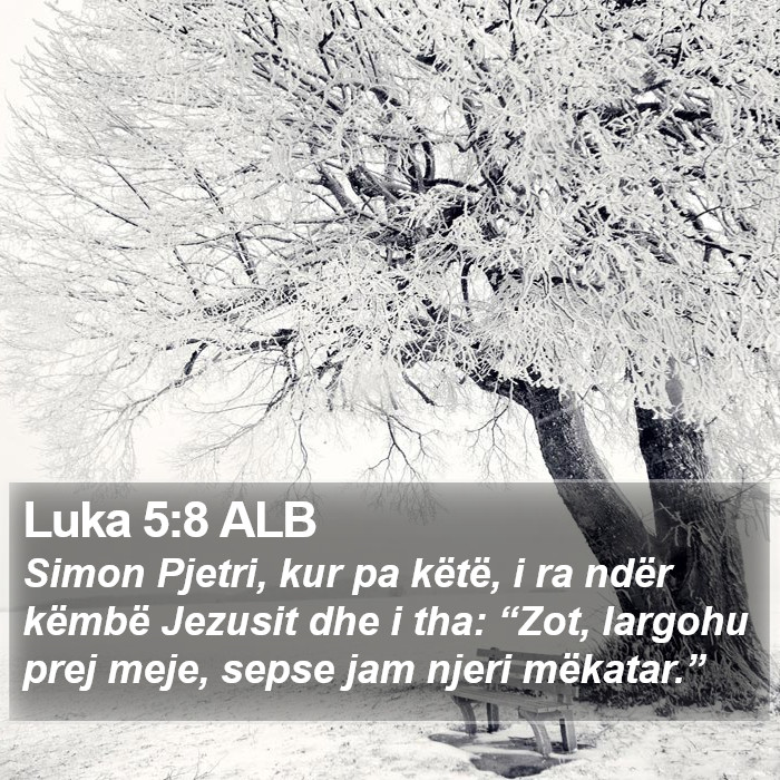 Luka 5:8 ALB Bible Study