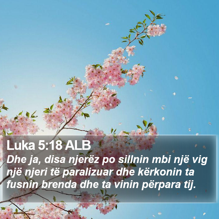 Luka 5:18 ALB Bible Study