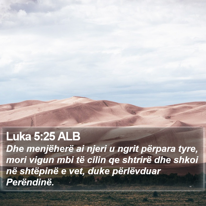 Luka 5:25 ALB Bible Study