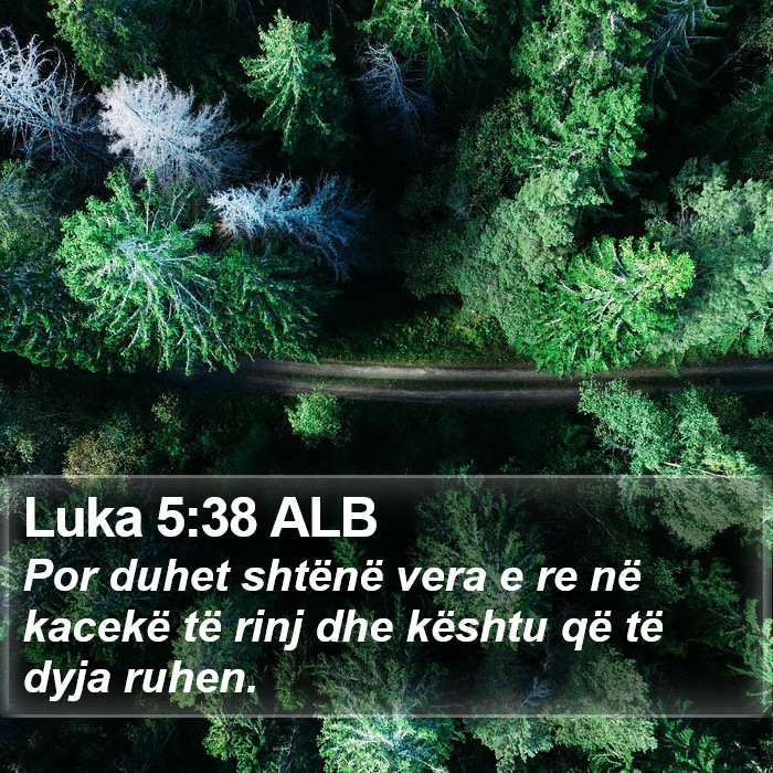 Luka 5:38 ALB Bible Study