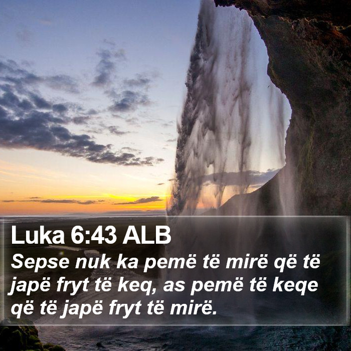 Luka 6:43 ALB Bible Study