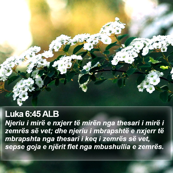 Luka 6:45 ALB Bible Study