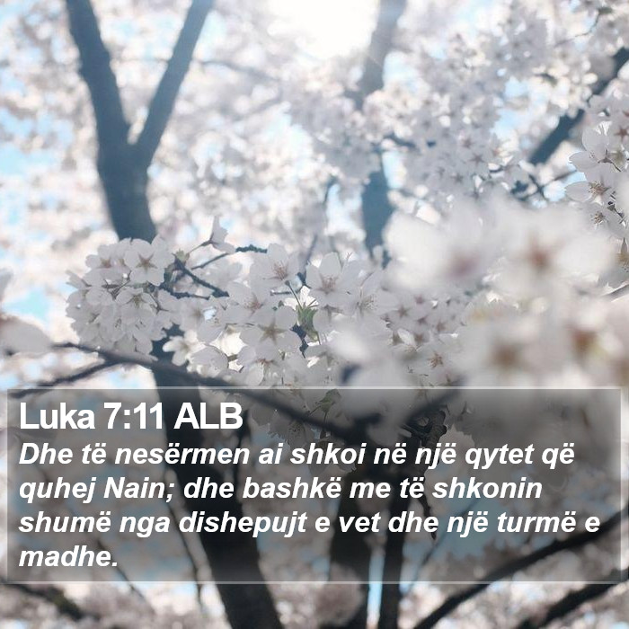Luka 7:11 ALB Bible Study