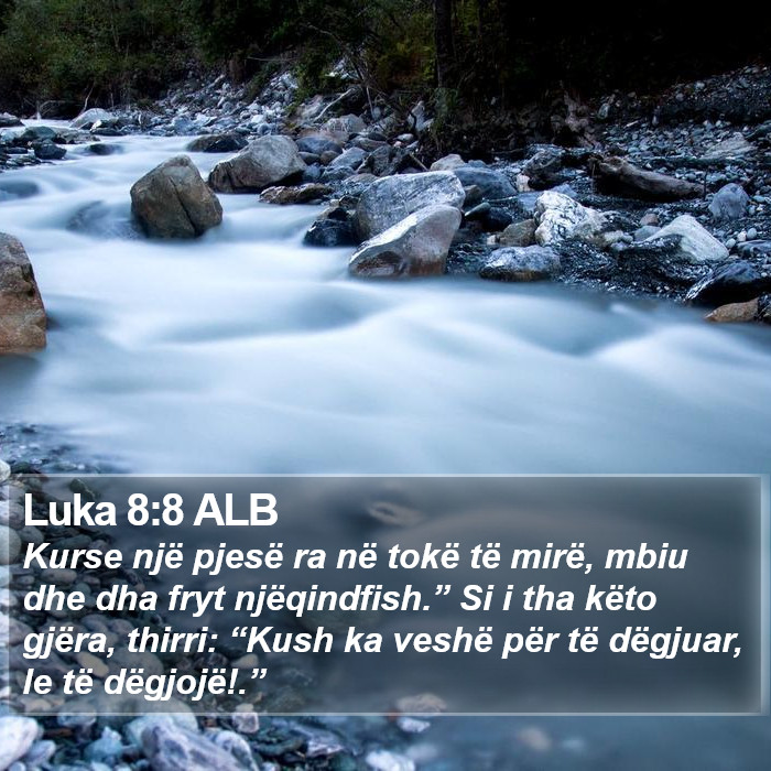 Luka 8:8 ALB Bible Study