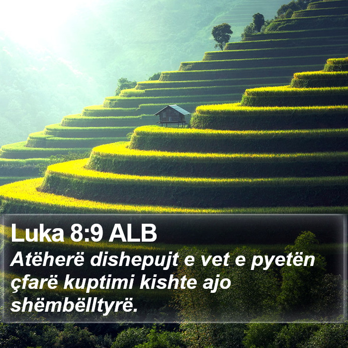 Luka 8:9 ALB Bible Study