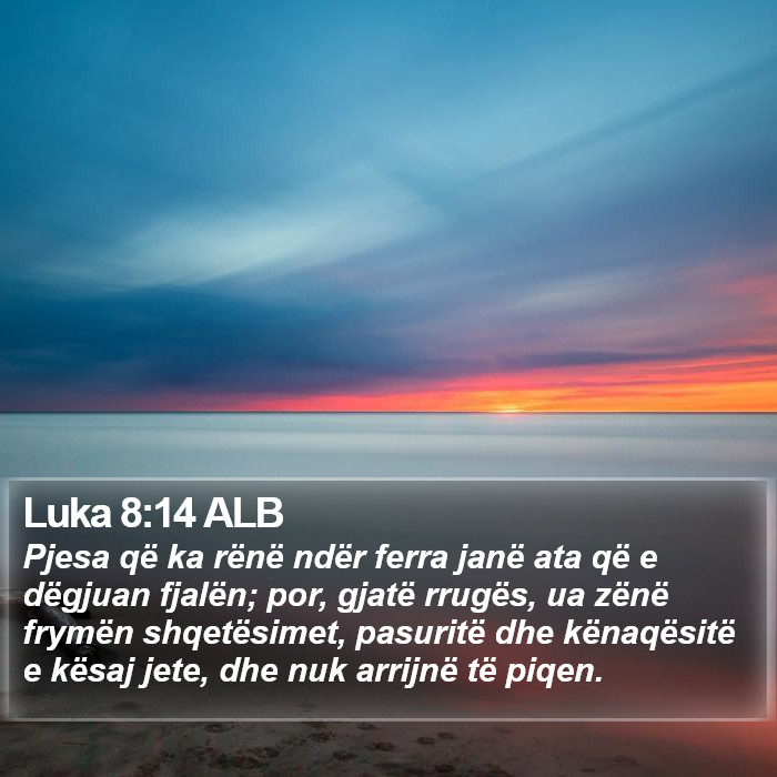 Luka 8:14 ALB Bible Study